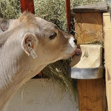 Vendégház Gastehaus Sonnweber *